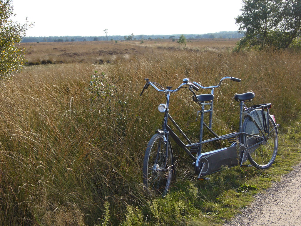 Picture of a Tandem Bicycle
