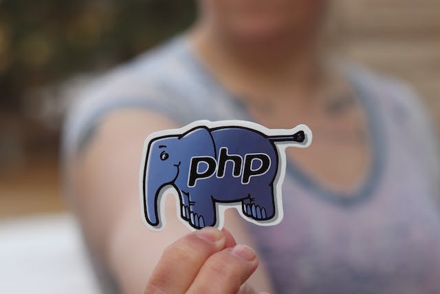 Someone holding up the PHP logo, an elephant with PHP on it.