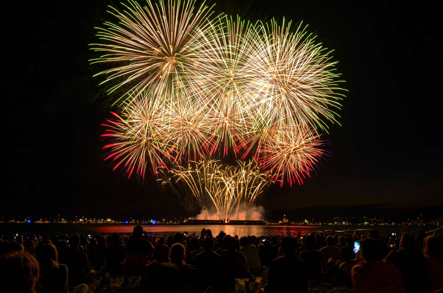 a crowd of people watching a fireworks display at night