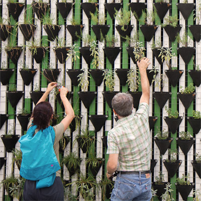 People plant vertical garden