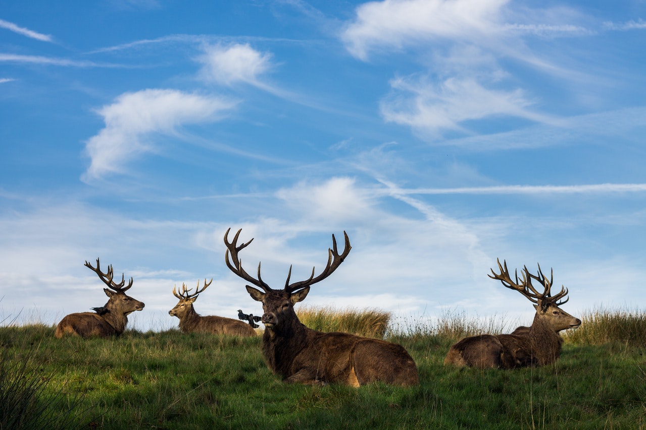 friends sitting together at a bench in a park