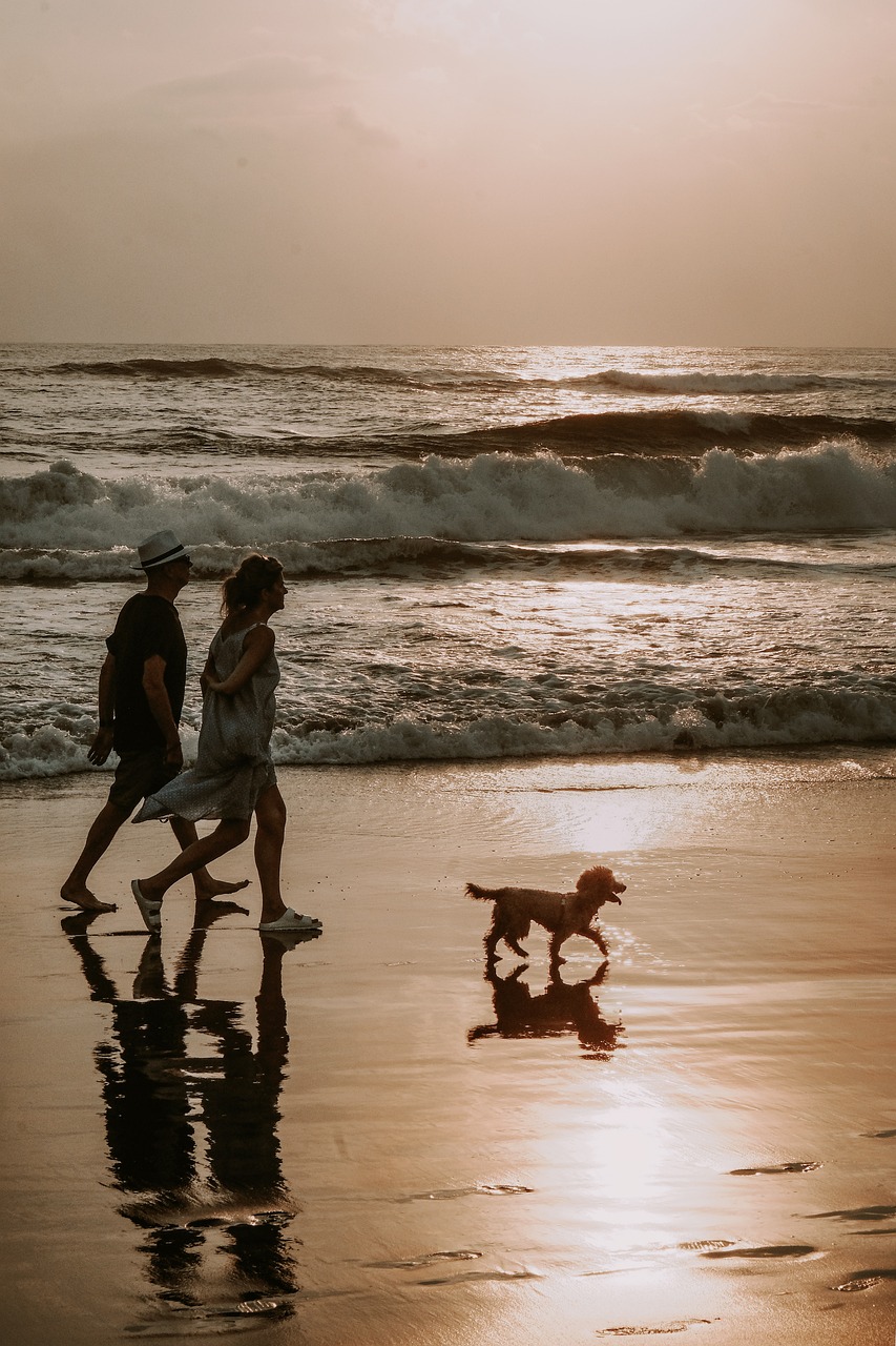 About Topsail Beach - Couple walking dog