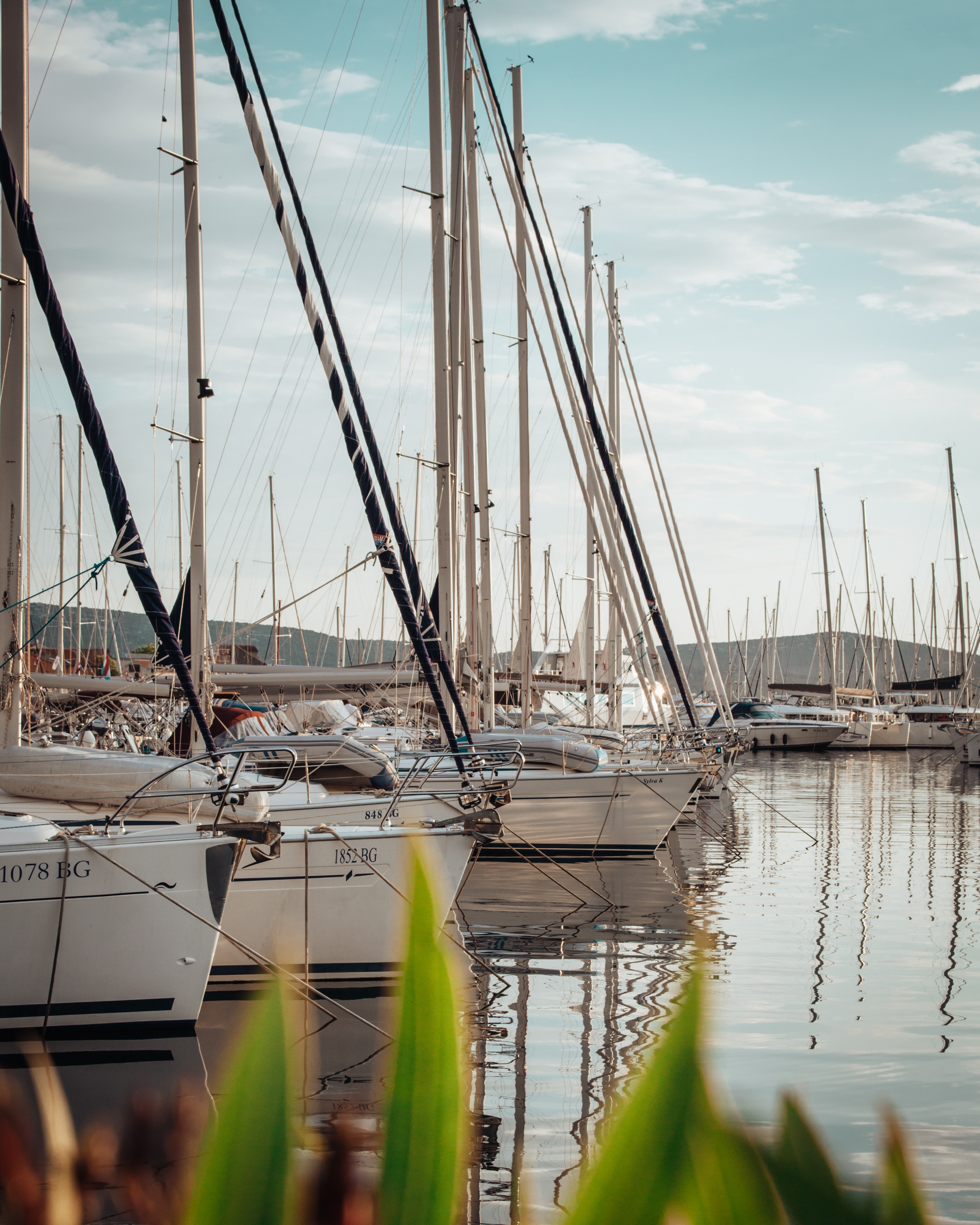 Marina - boats at a marina
