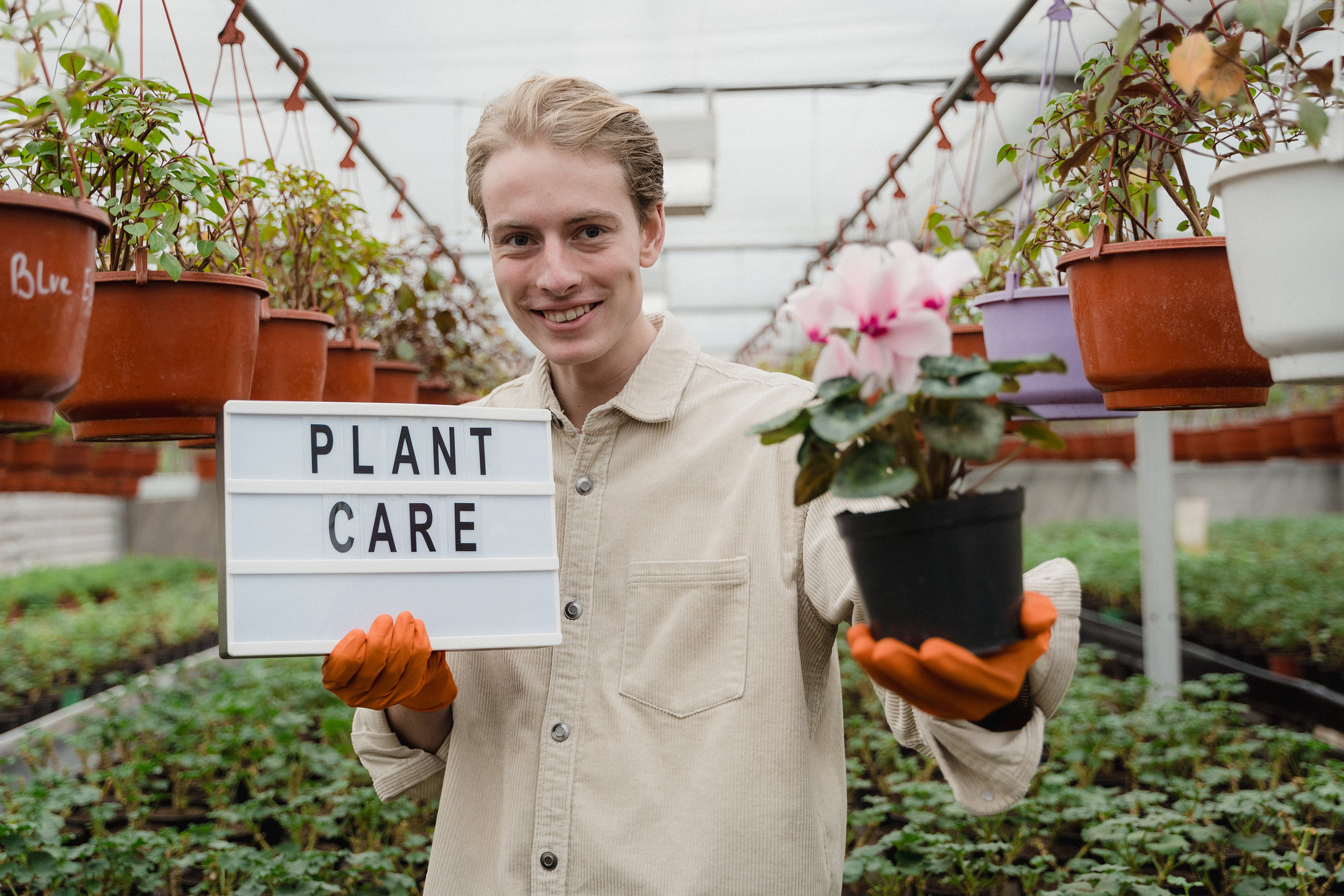 Sprout & Grow employee holding a 'Plant Care' sign on his right hand and a plant on his left hand