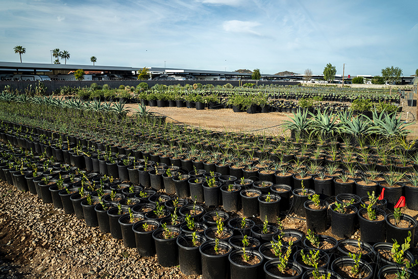 Sprout & Grow fields