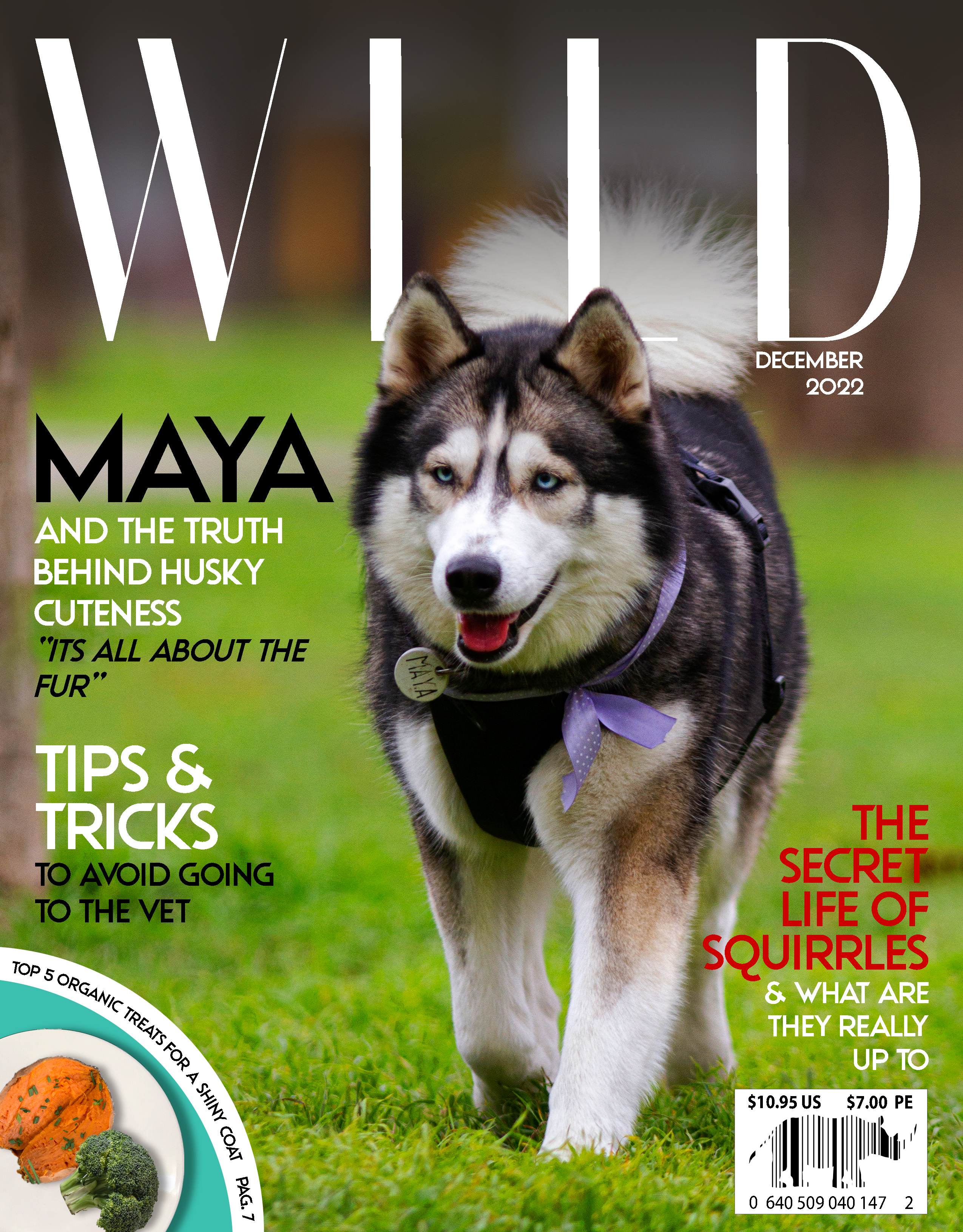 Wild Magazine Cover
