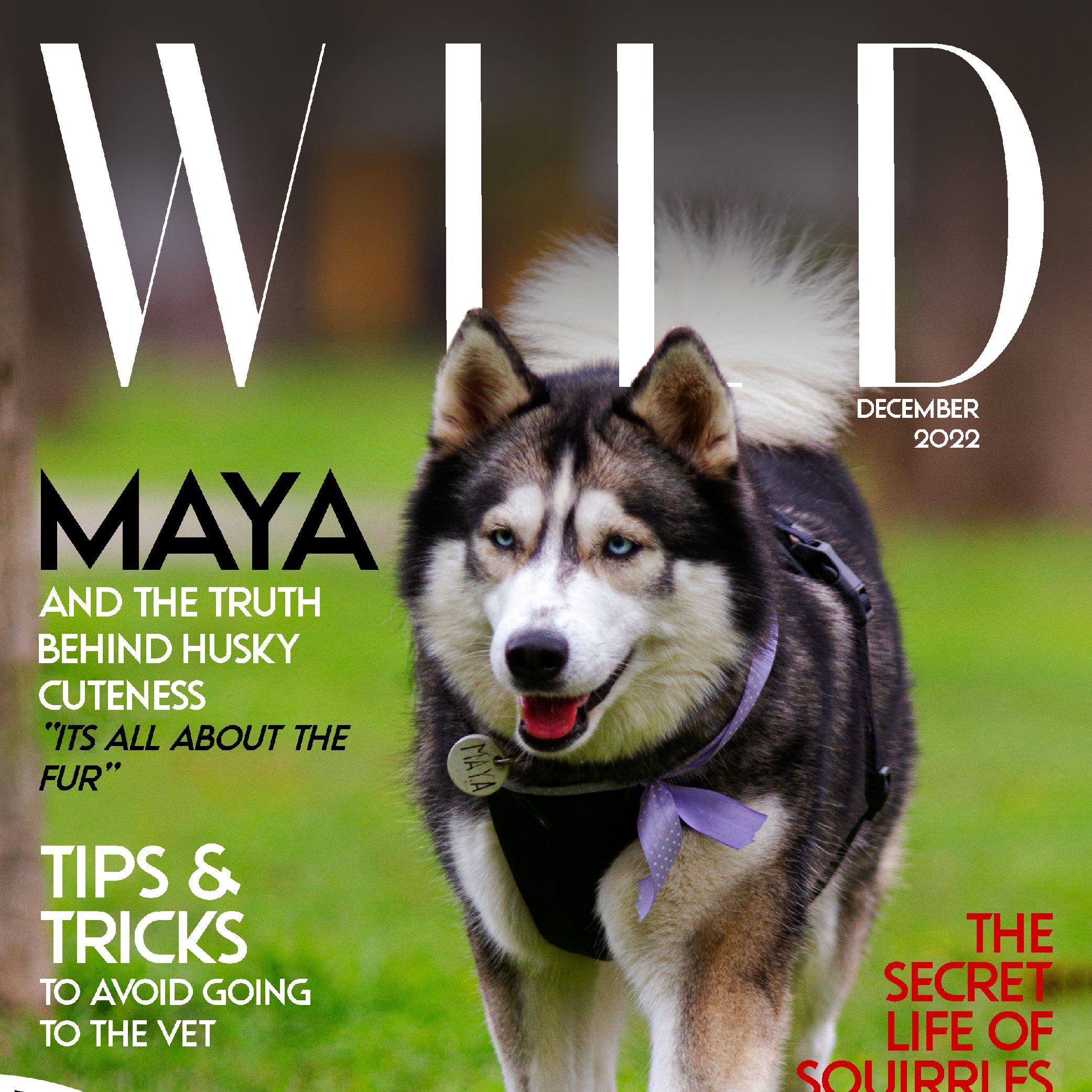 Wild Magazine Cover